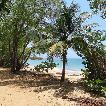 Korn Lambis Villa Sainte-Luce Ngoại thất bức ảnh